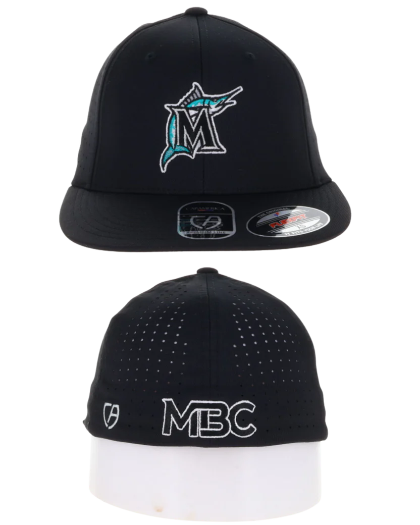 Martlins_CABlackHat